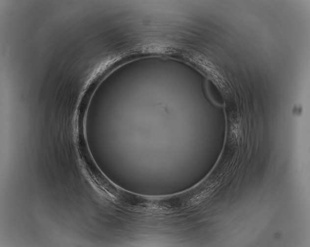 X0000096180678200801181313