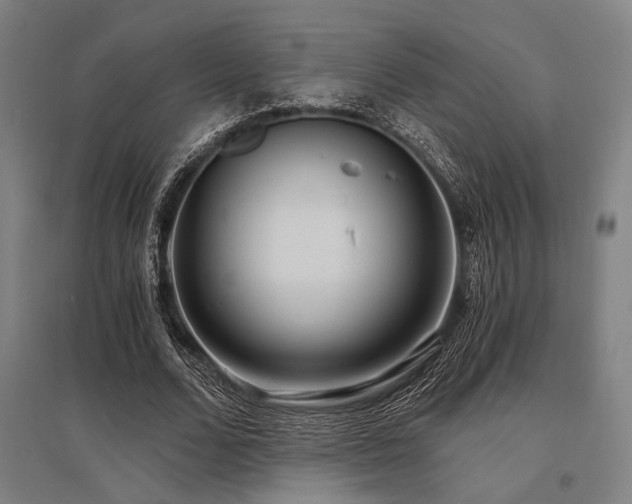 X0000096180680200801181313