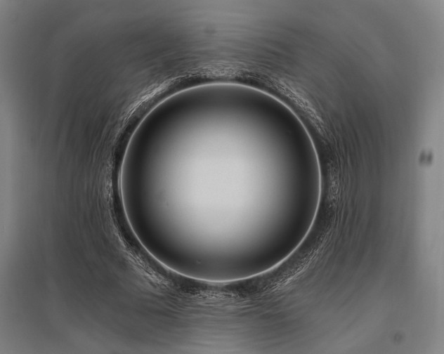 X0000096180681200801181313