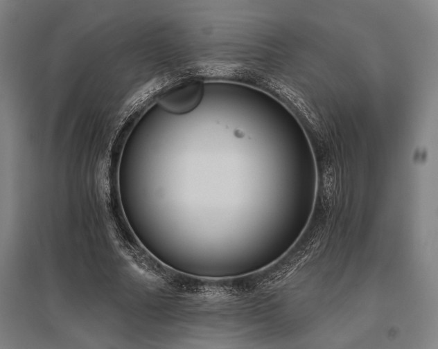 X0000096180682200801181313