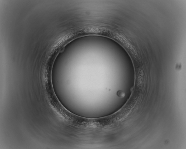 X0000096180683200801181313