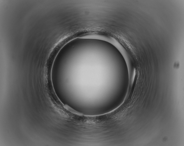 X0000096180684200801181313