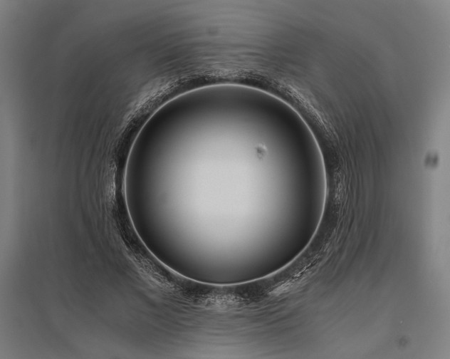 X0000096180685200801181313