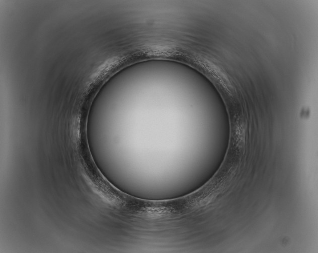 X0000096180686200801181313