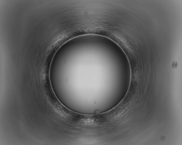 X0000096180687200801181313