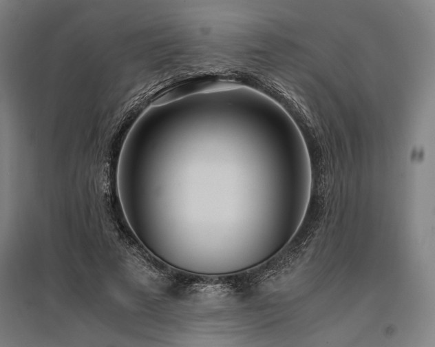 X0000096180689200801181313
