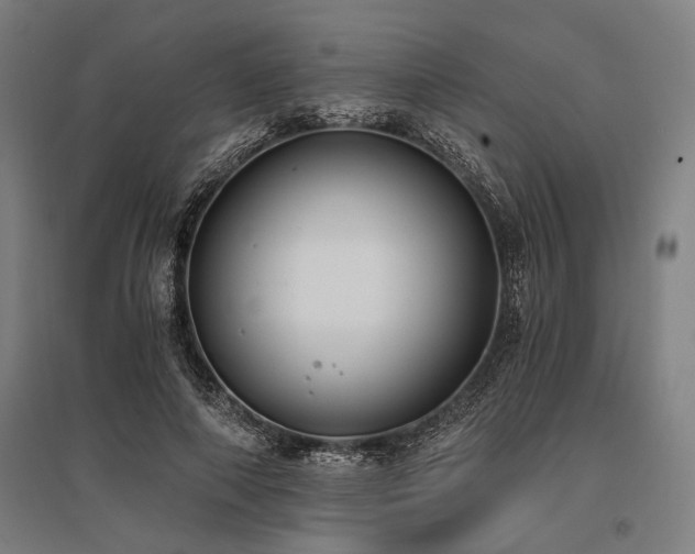 X0000096180690200801181313
