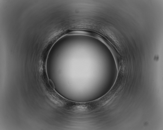 X0000096180692200801181312