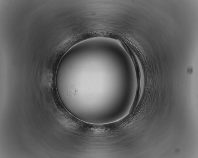 X0000096180693200801181312