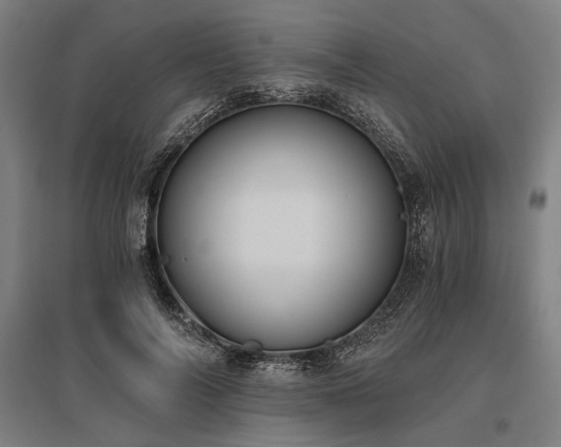 X0000096180694200801181312