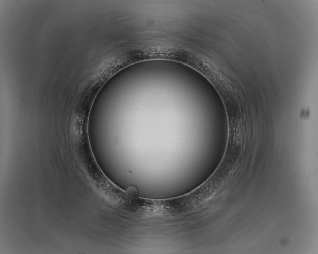 X0000096180695200801181312