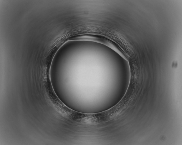 X0000096180696200801181312
