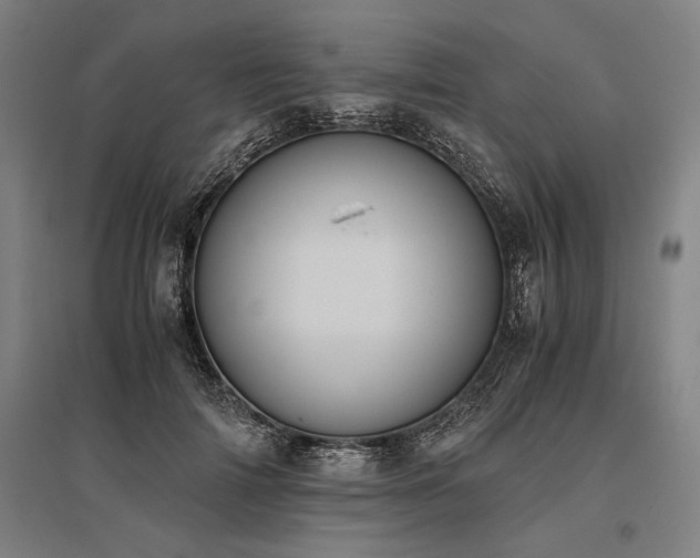 X0000096180698200801181312