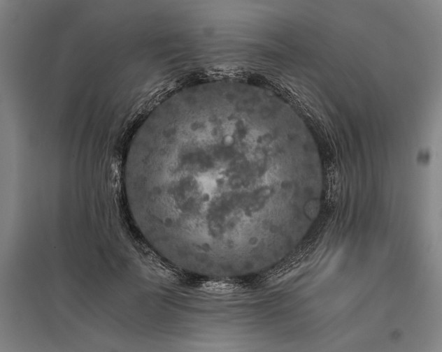 X0000096180699200801181312
