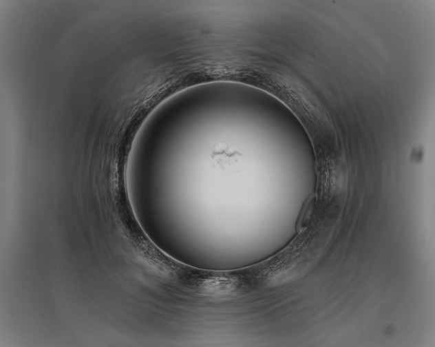 X0000096180700200801181312