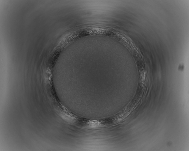 X0000096180701200801181312