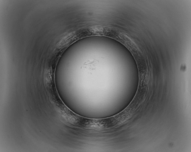 X0000096180702200801181312