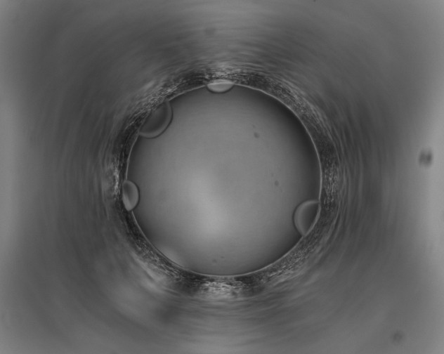 X0000096180703200801181312