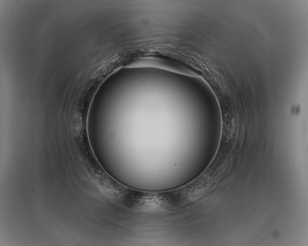 X0000096180704200801181312