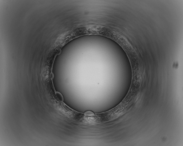 X0000096180706200801181312