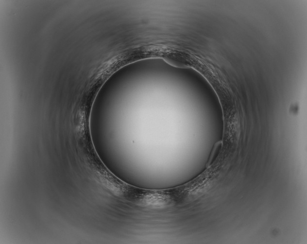 X0000096180708200801181312