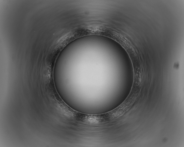 X0000096180710200801181312