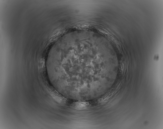 X0000096180711200801181312