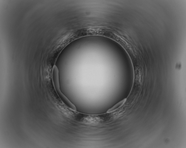 X0000096180712200801181312