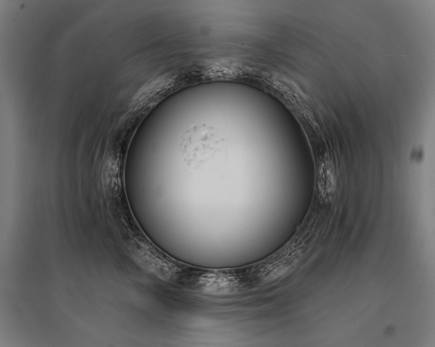 X0000096180714200801181312