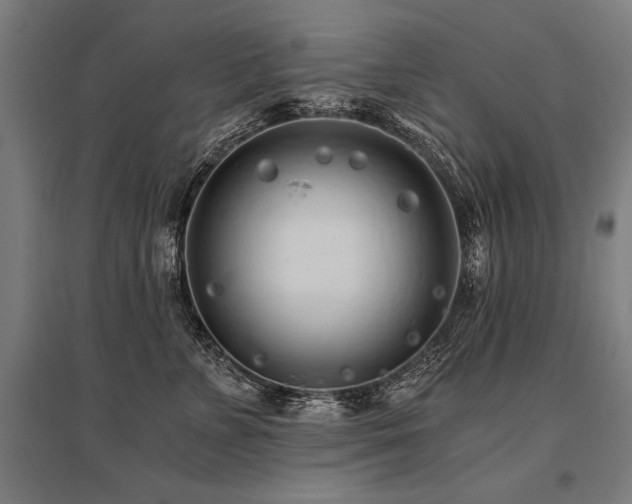 X0000096180715200801181312