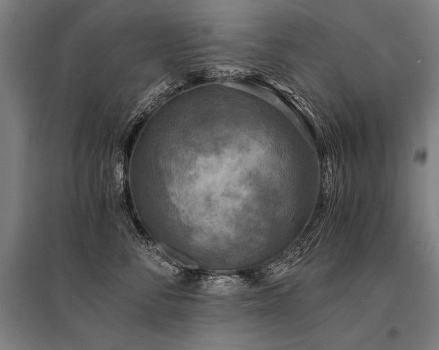 X0000096180716200801181312