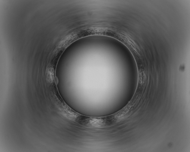X0000096180718200801181312