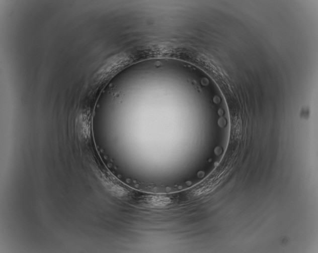 X0000096180719200801181312