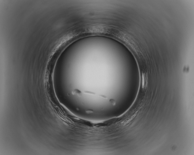 X0000096180723200801181311