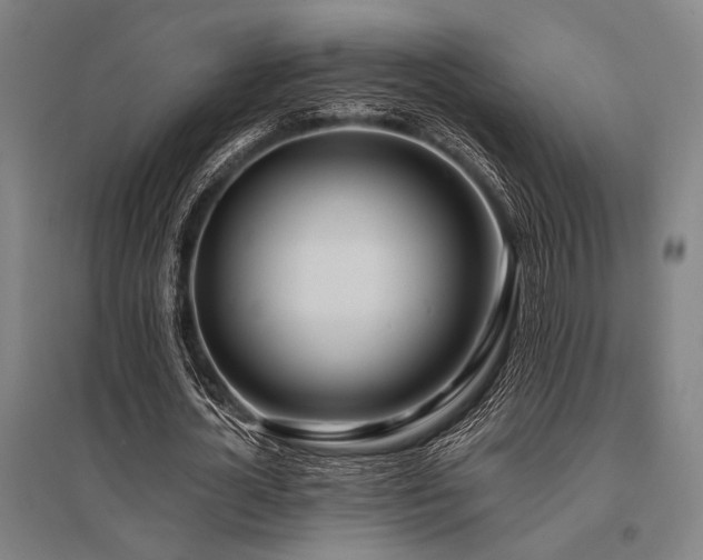 X0000096180724200801181311