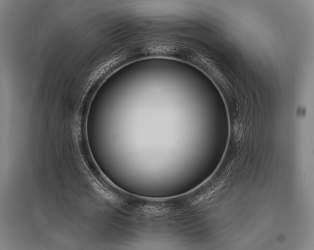 X0000096180725200801181312