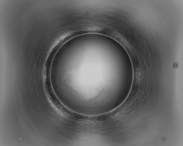 X0000096180726200801181312