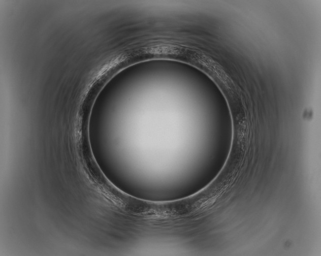 X0000096180727200801181312
