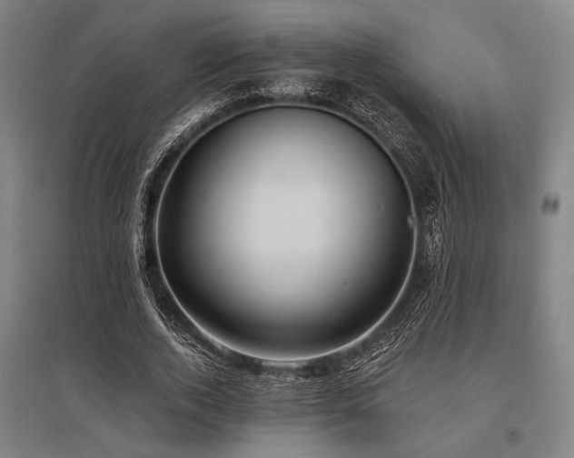 X0000096180728200801181312