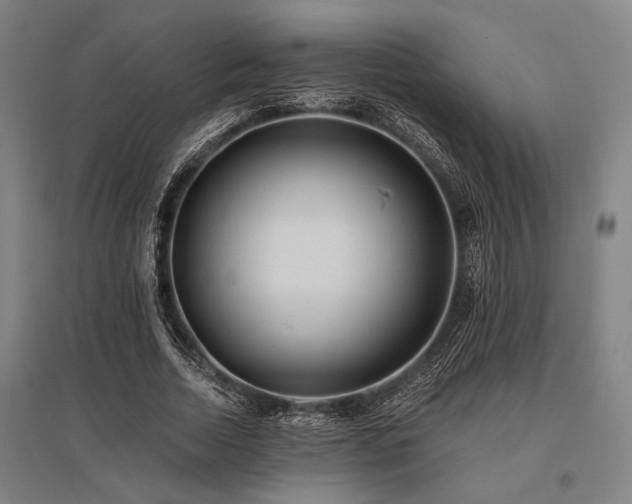 X0000096180730200801181312