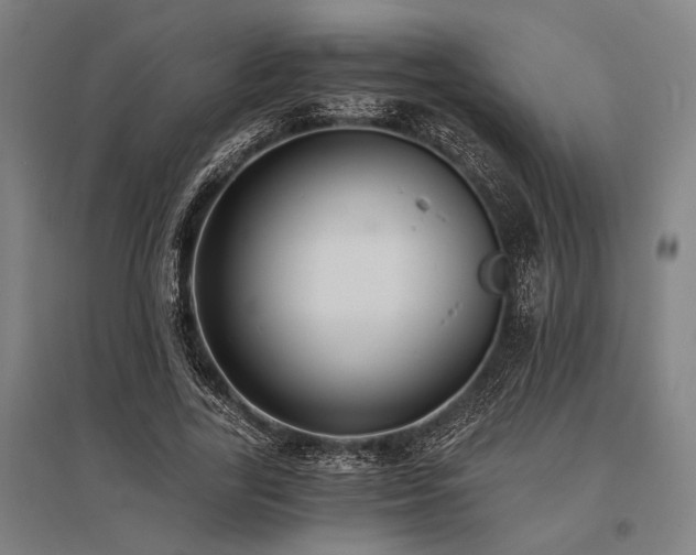 X0000096180731200801181312