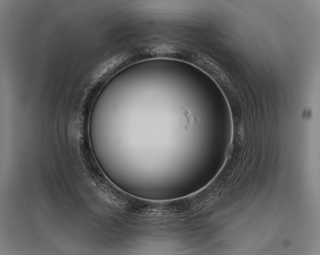 X0000096180732200801181312