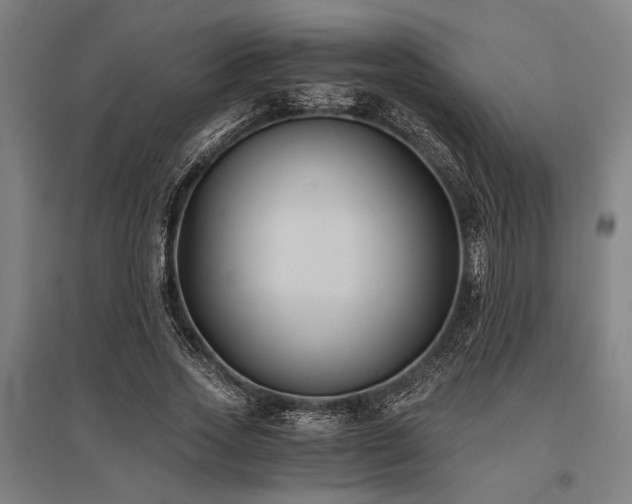 X0000096180733200801181312