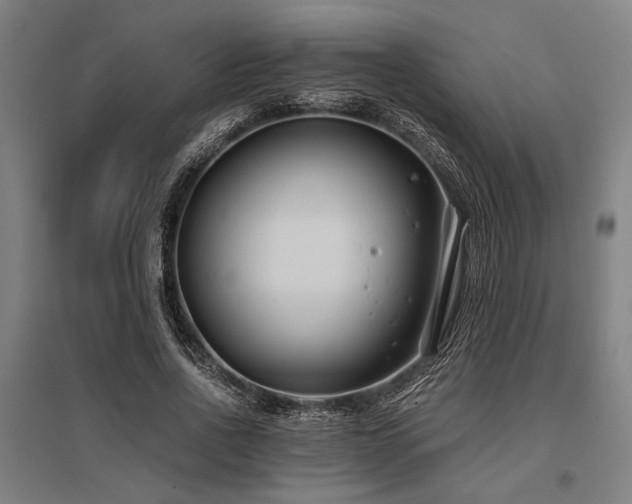 X0000096180734200801181312