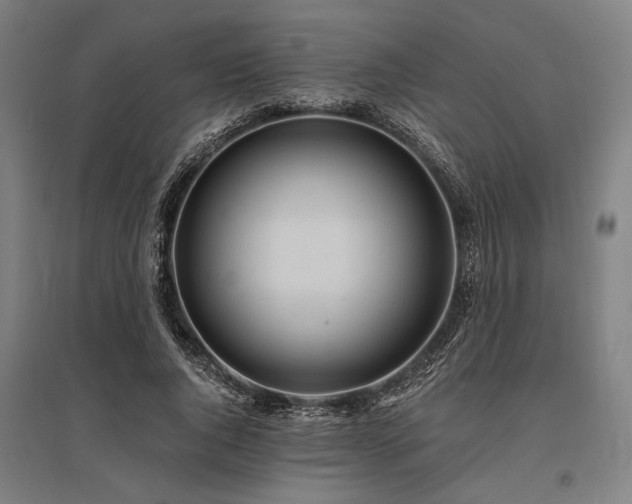 X0000096180736200801181312