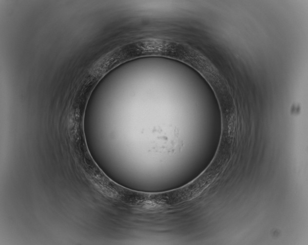 X0000096180737200801181312