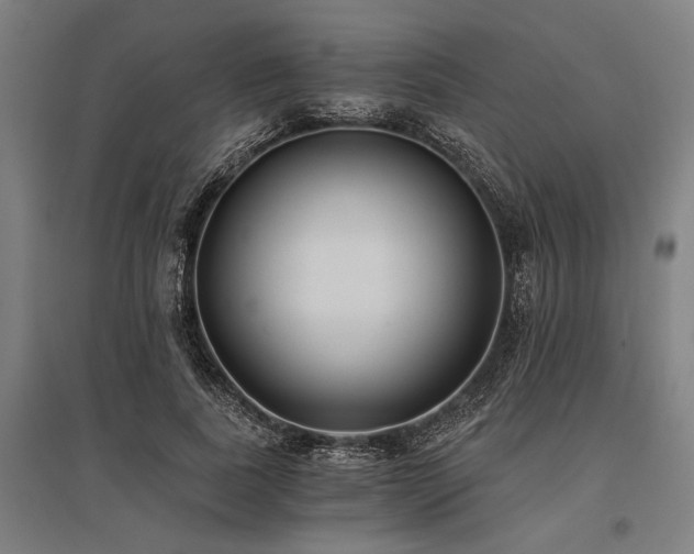X0000096180739200801181312