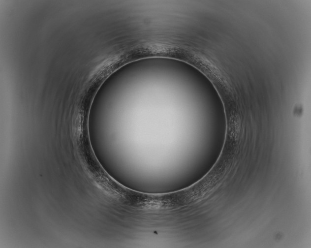 X0000096180740200801181312