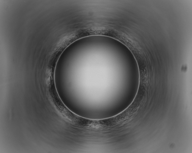 X0000096180742200801181312