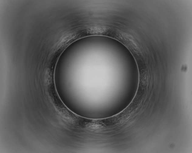 X0000096180743200801181312